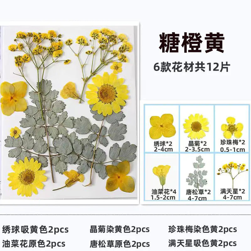 DIY Dried Flower Bookmark Kit