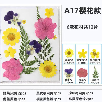 DIY Dried Flower Bookmark Kit